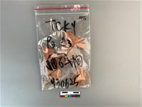 藏品(陶片)的圖片