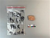 藏品(陶片)的圖片