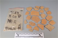 藏品(陶片)的圖片