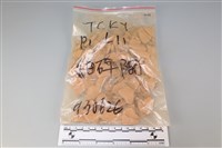 藏品(陶片)的圖片
