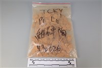 藏品(陶片)的圖片