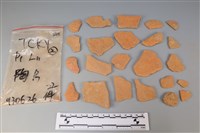 藏品(陶片)的圖片