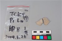 藏品(陶片)的圖片