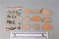 藏品(陶片)的圖片