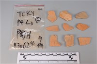 藏品(陶片)的圖片