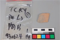 藏品(陶片)的圖片