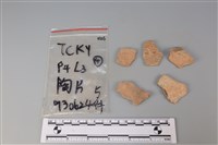 藏品(陶片)的圖片