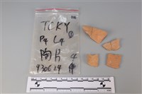 藏品(陶片)的圖片