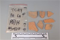 藏品(陶片)的圖片