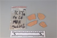 藏品(陶片)的圖片
