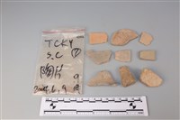 藏品(陶片)的圖片