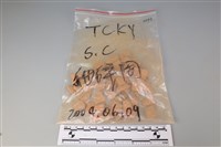 藏品(陶片)的圖片