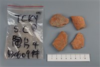 藏品(陶片)的圖片