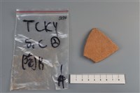 藏品(陶片)的圖片