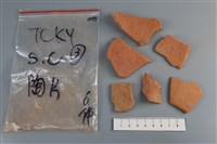 藏品(陶片)的圖片