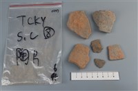 藏品(陶片)的圖片