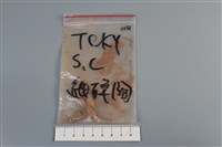 藏品(陶片)的圖片