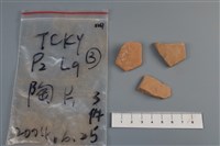 藏品(陶片)的圖片