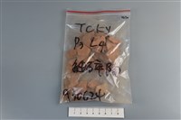 藏品(陶片)的圖片