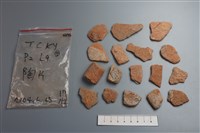 藏品(陶片)的圖片