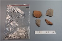 藏品(陶片)的圖片