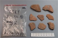 藏品(陶片)的圖片