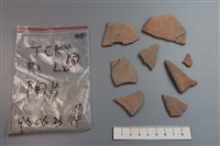 藏品(陶片)的圖片