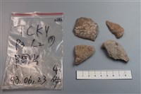 藏品(陶片)的圖片