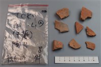 藏品(陶片)的圖片