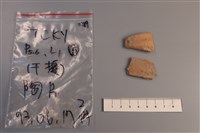 藏品(陶片)的圖片