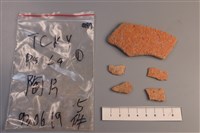 藏品(陶片)的圖片