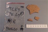 藏品(陶片)的圖片