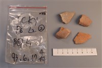 藏品(陶片)的圖片