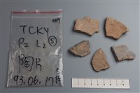 藏品(陶片)的圖片