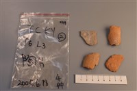 藏品(陶片)的圖片