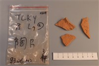 藏品(陶片)的圖片