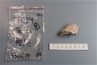 藏品(陶片)的圖片