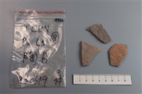 藏品(陶片)的圖片