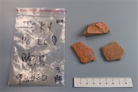 藏品(陶片)的圖片