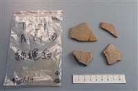 藏品(陶片)的圖片