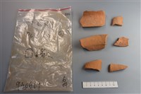 藏品(陶片)的圖片