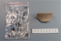 藏品(陶片)的圖片