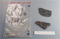 藏品(陶片)的圖片