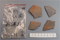 藏品(陶片)的圖片