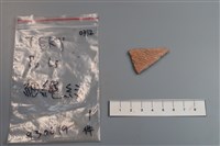 藏品(陶片)的圖片