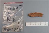 藏品(陶片)的圖片