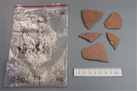 藏品(陶片)的圖片