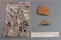 藏品(陶片)的圖片