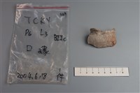 藏品(陶片)的圖片