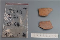 藏品(陶片)的圖片